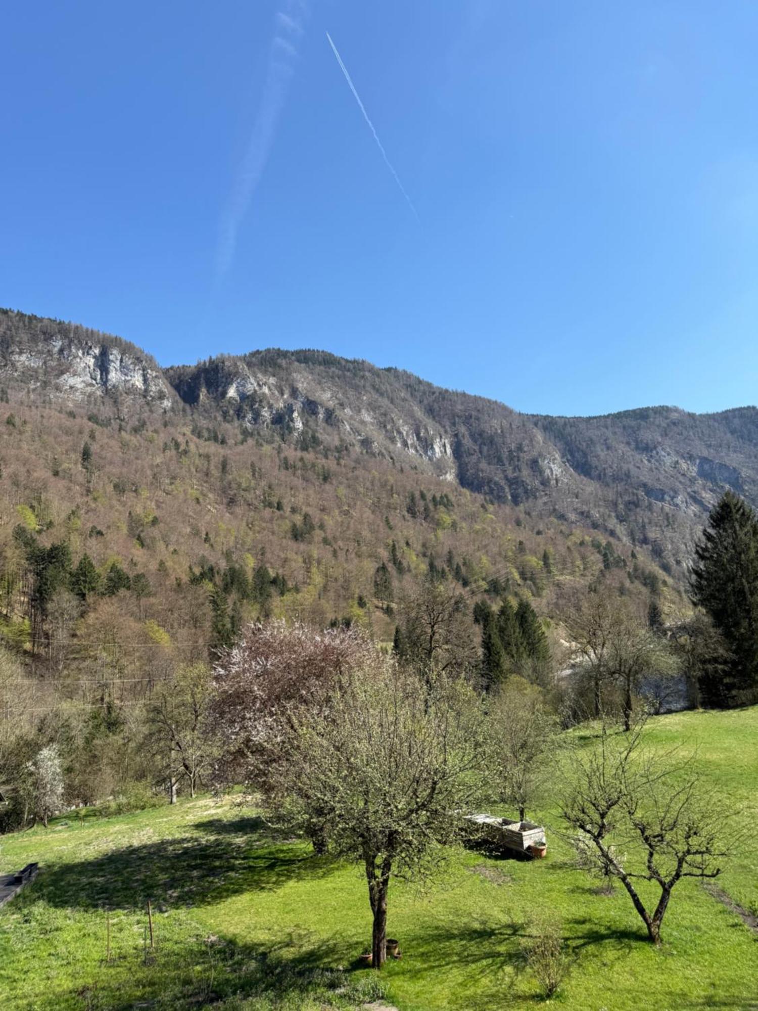 4 Elements Resort Bled Bohinjska Bela Exteriör bild